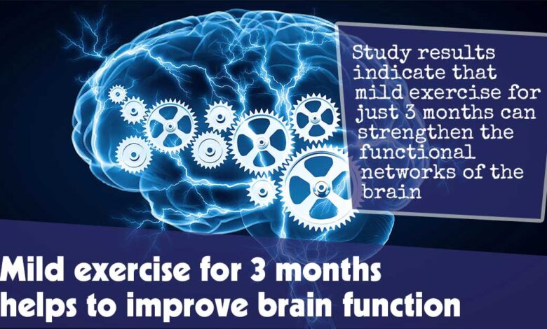 Mild exercise for 3 months helps to improve Brain function f