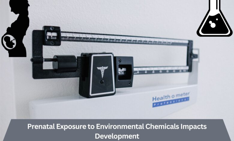 Prenatal Exposure to Environmental Chemicals Impacts Development 1 Prenatal Exposure to Environmental Chemicals Impacts Development