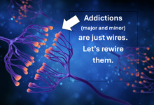 Screenshot 2024 12 29 at 11.48.04 AM