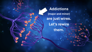 Screenshot 2024 12 29 at 11.48.04 AM