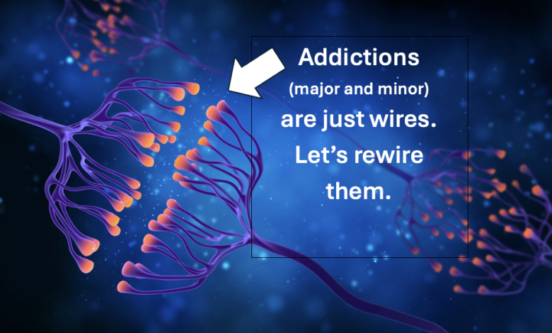 Screenshot 2024 12 29 at 11.48.04 AM