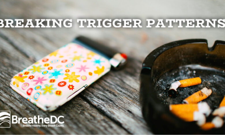 breaking patterns 1200