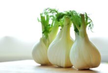 fennel bulb