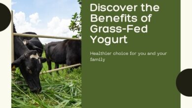 grass fed yogurt