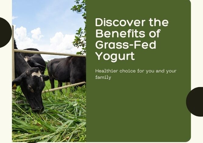 grass fed yogurt